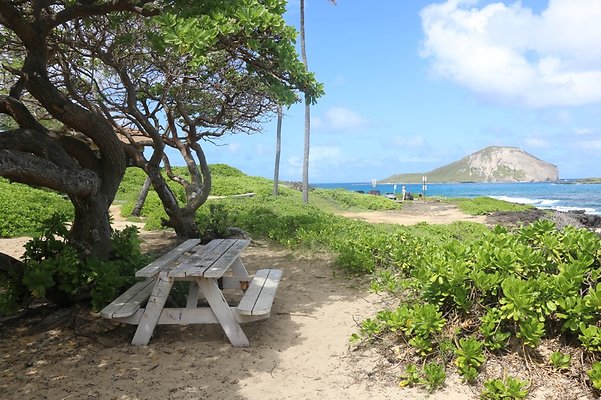 th IMG 1417 th IMG 1417