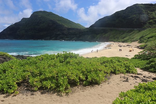 th IMG 1412 th IMG 1412