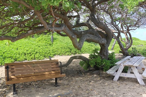 th IMG 1416 th IMG 1416