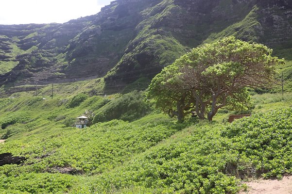 th IMG 1409 th IMG 1409