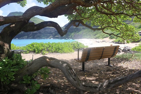 th IMG 1411 th IMG 1411