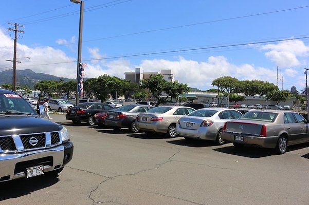 th IMG 0511 th IMG 0511