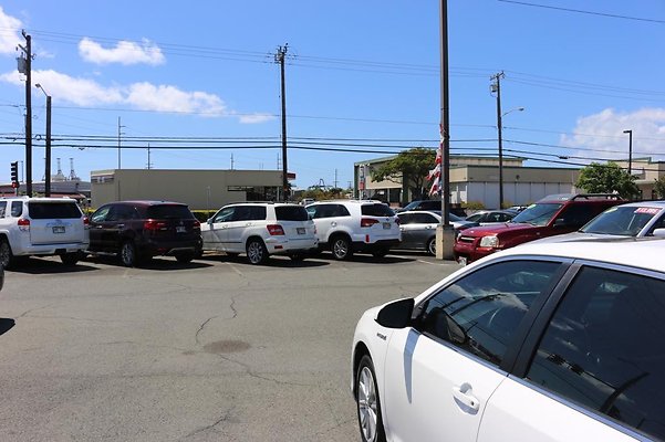 th IMG 0515 th IMG 0515