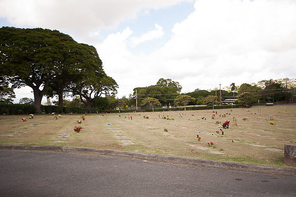 Nuuanu NuuanuMemorialPark-7 Nuuanu NuuanuMemorialPark-7