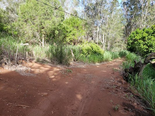 th 20191003 160017 th 20191003 160017