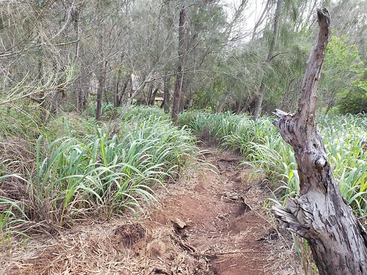 th 20191003 160303 th 20191003 160303