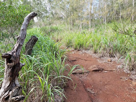 th 20191003 160231 th 20191003 160231