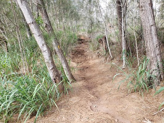 th 20191003 160105 th 20191003 160105