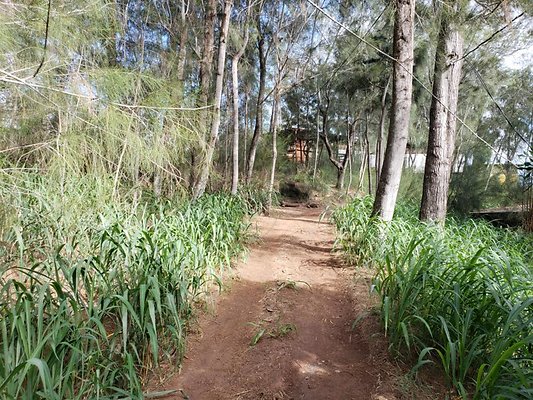 th 20191003 160044 th 20191003 160044