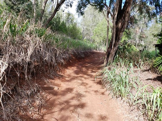 th 20191003 155912 th 20191003 155912