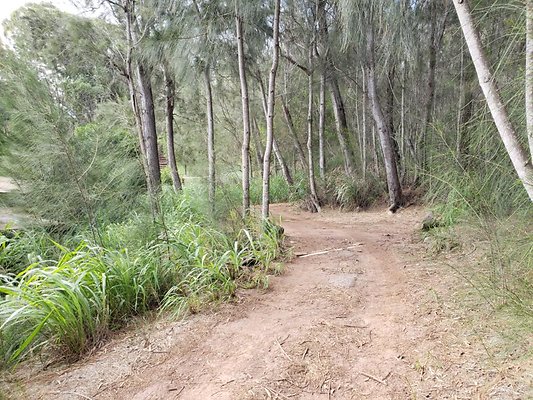 th 20191003 155358 th 20191003 155358