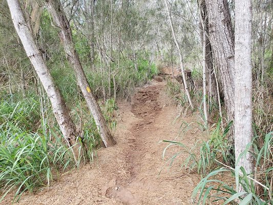 th 20191003 155533 th 20191003 155533