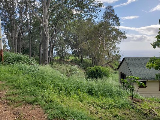 th 20191003 154017 th 20191003 154017