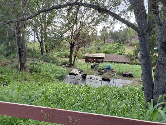 th 20191003 154121 th 20191003 154121