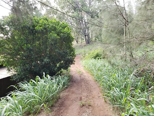 th 20191003 155544 th 20191003 155544