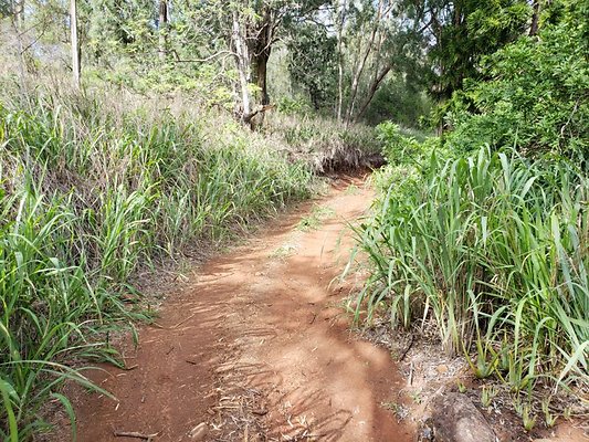 th 20191003 155850 th 20191003 155850