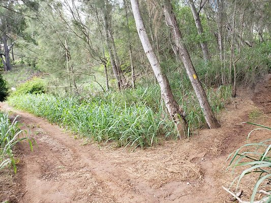 th 20191003 155528 th 20191003 155528