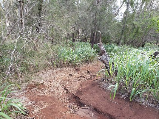 th 20191003 160251 th 20191003 160251