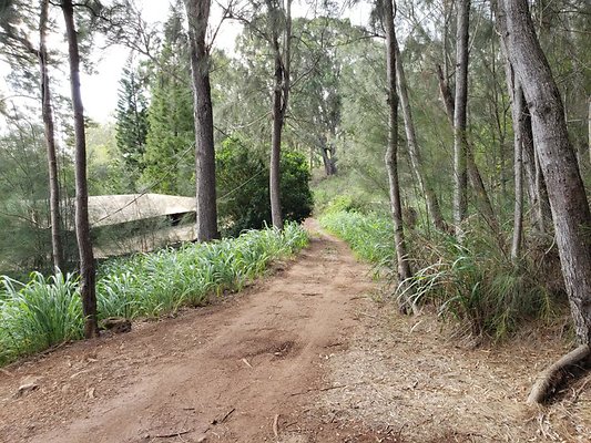 th 20191003 155503 th 20191003 155503