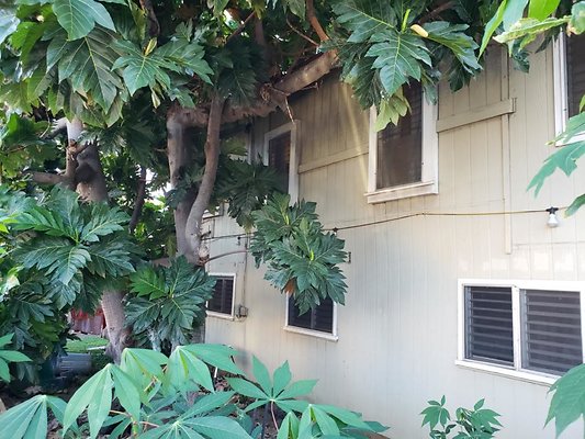 th 20200203 174538 th 20200203 174538