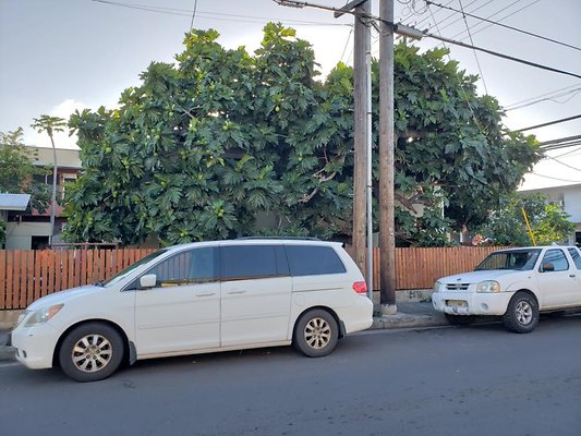 th 20200203 173750 th 20200203 173750