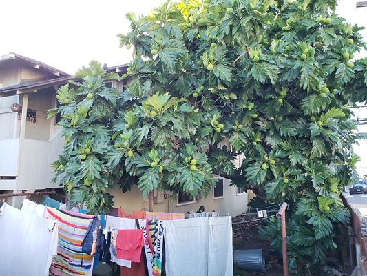 th 20200203 173719 th 20200203 173719