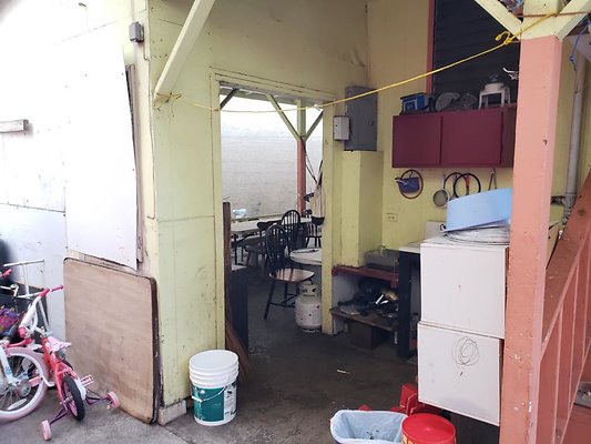 th 20200131 173517 th 20200131 173517