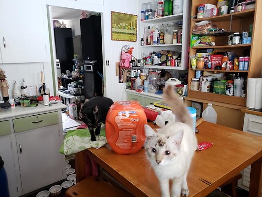 th 20200131 124602 th 20200131 124602