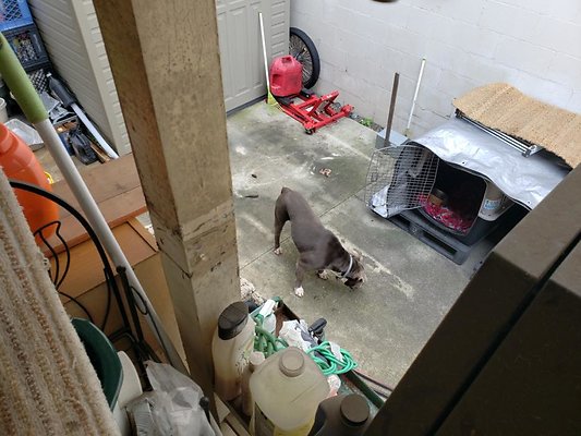 th 20200131 124734 th 20200131 124734