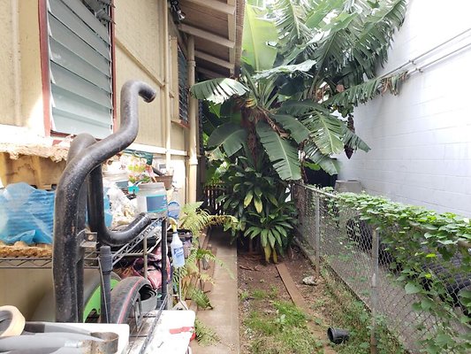 th 20200131 123631 th 20200131 123631