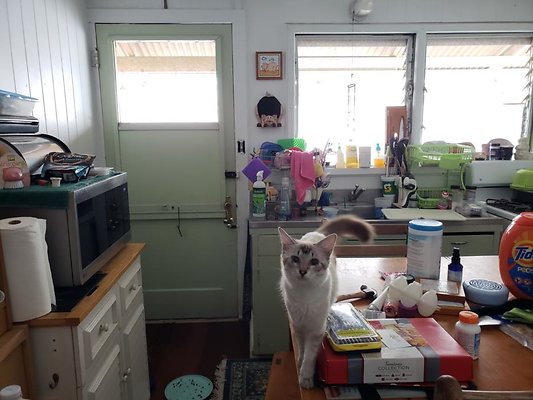 th 20200131 124624 th 20200131 124624