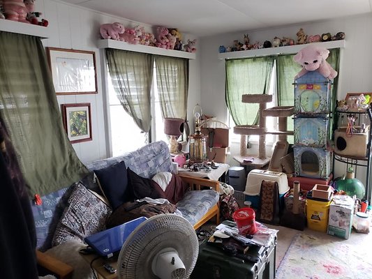 th 20200131 124802 th 20200131 124802