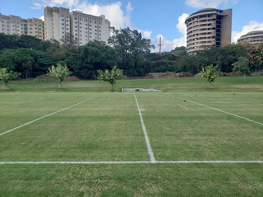 th 20190703 175928 th 20190703 175928