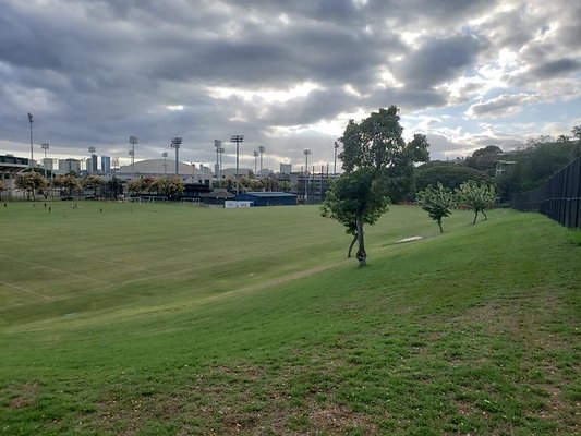 th 20190703 175210 th 20190703 175210