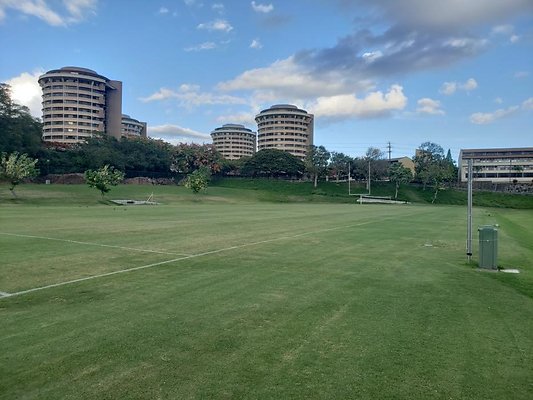 th 20190703 180142 th 20190703 180142