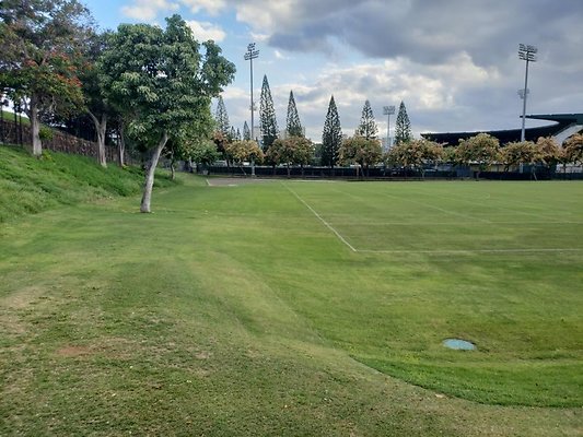 th 20190703 175738 th 20190703 175738