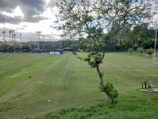 th 20190703 175615 th 20190703 175615