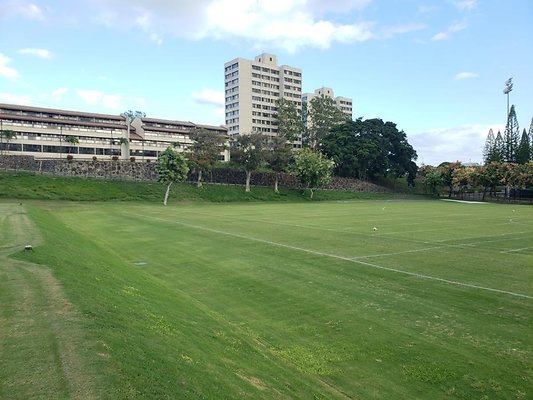 th 20190703 180015 th 20190703 180015