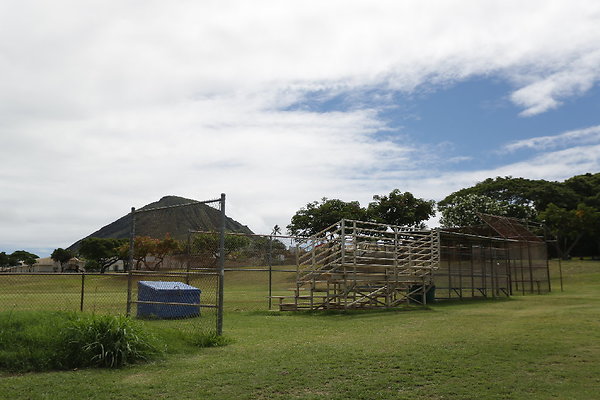 HK Park Kokohead (5 of 8) HK Park Kokohead (5 of 8)