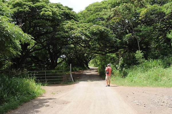 th DSC 5113 th DSC 5113