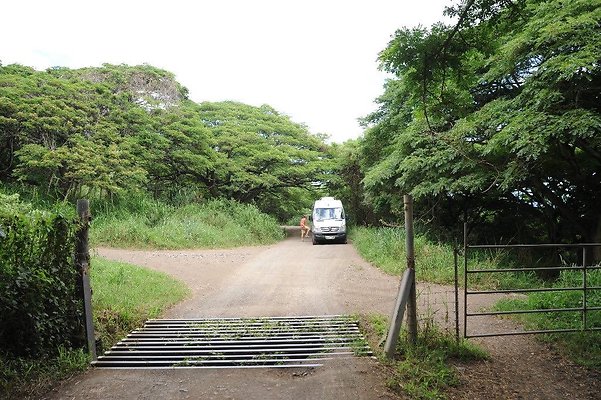 th DSC 5116 th DSC 5116