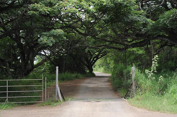 th DSC 5115 th DSC 5115