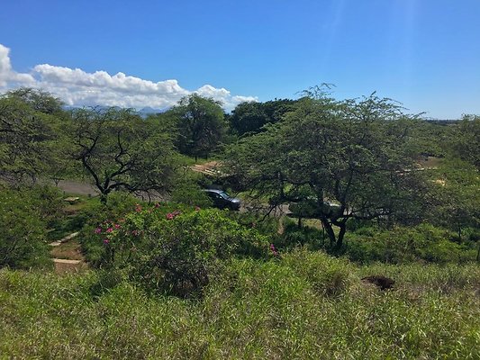 th Photo Oct 02, 10 22 11 AM th Photo Oct 02, 10 22 11 AM