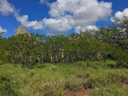 th Photo Oct 02, 10 22 23 AM th Photo Oct 02, 10 22 23 AM