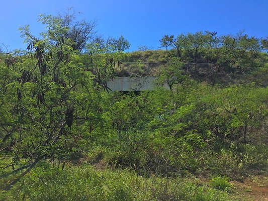 th Photo Oct 02, 10 33 57 AM th Photo Oct 02, 10 33 57 AM