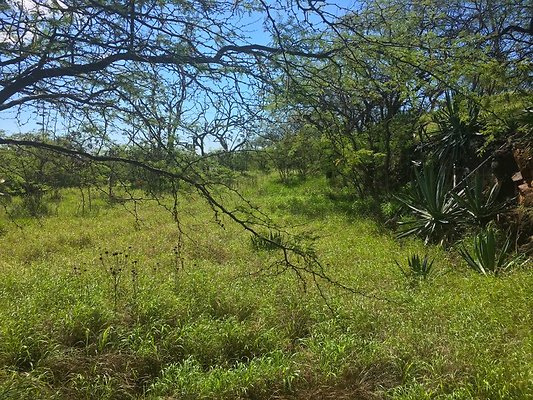 th Photo Oct 02, 10 06 02 AM th Photo Oct 02, 10 06 02 AM