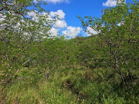 th Photo Oct 02, 10 35 01 AM th Photo Oct 02, 10 35 01 AM