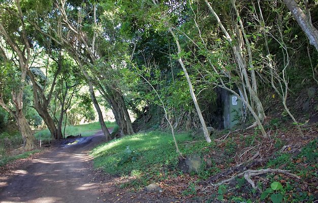 th IMG 7689 th IMG 7689