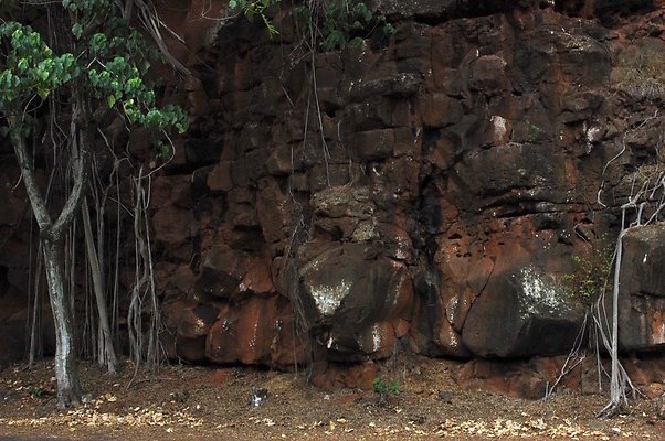 HI50 S6 DSC 5619 HI50 S6 DSC 5619