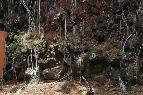 HI50 S6 DSC 5633 HI50 S6 DSC 5633